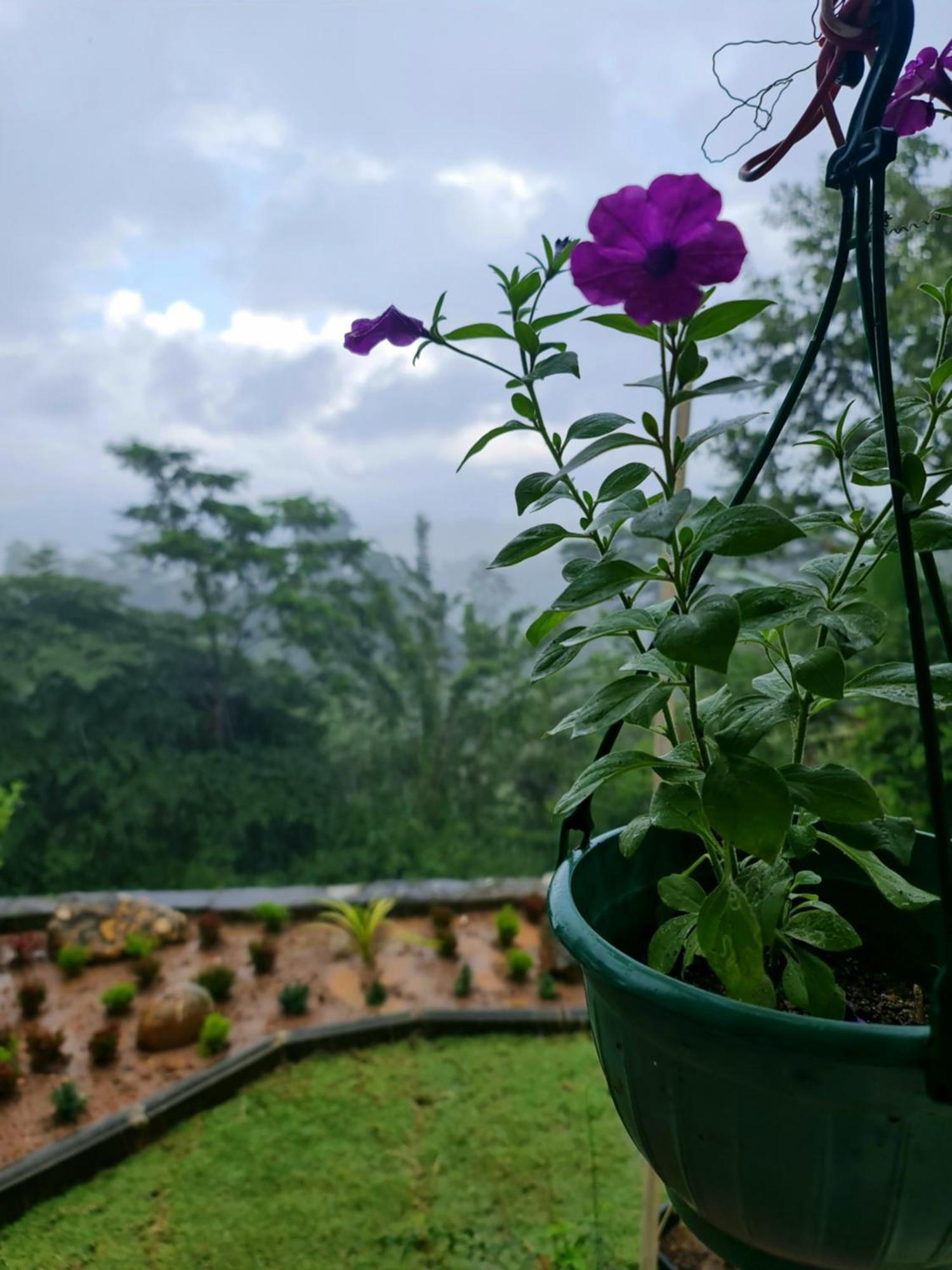 Hello Kandy Homestay Exterior photo